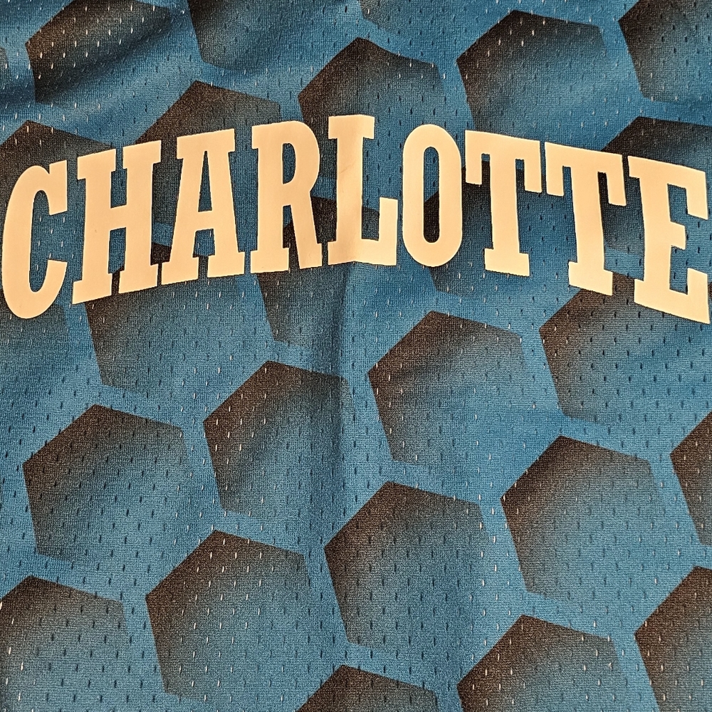 Charlotte Hornets Mitchell & Ness M